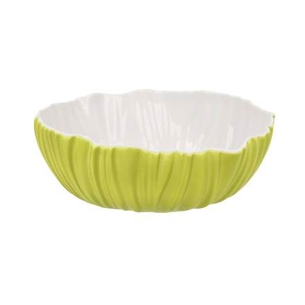 Schale Spirulina Colori hellgrün 5 cm 