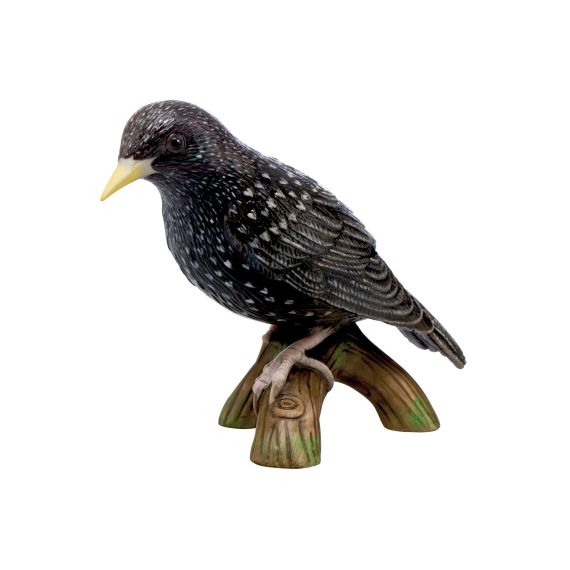 Vogel des Jahres 2018 – Star (klein)