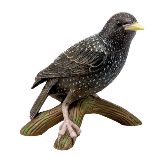Produktbild von Vogel des Jahres 2018 – Star (groß)